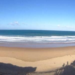 Meet your Posher, Darcy